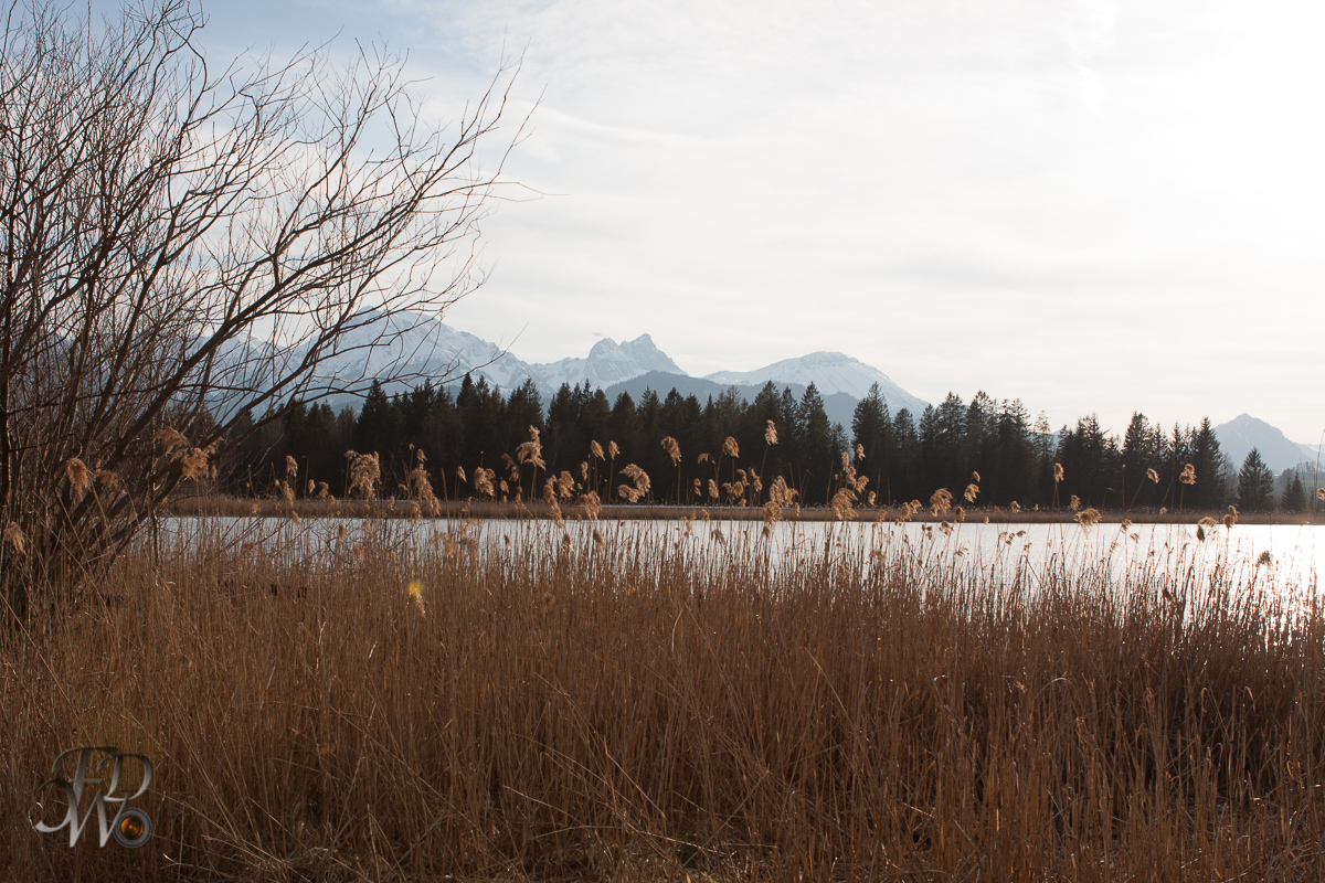 _MG_0095