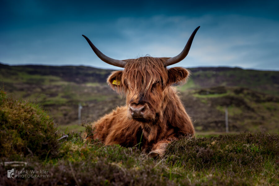 Schottland
