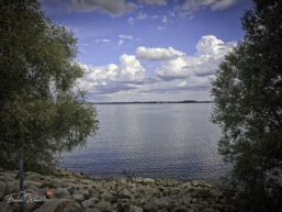 IMG_20260825_164015