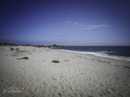 IMG_20260829_145254