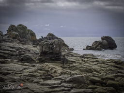IMG_20260830_112700