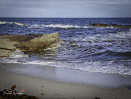 IMG_20260830_182446