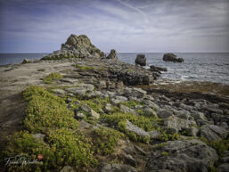 IMG_20260831_184751