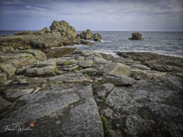 IMG_20260831_184926