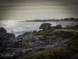 IMG_20260831_185406