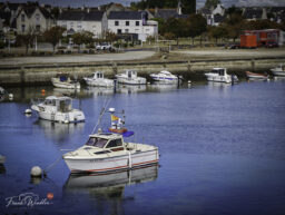 IMG_20260904_124751
