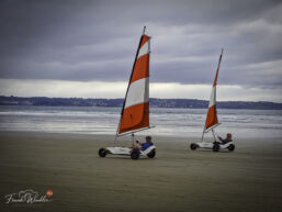IMG_20260907_180254