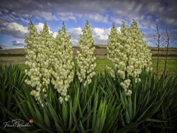 IMG_20260908_184145