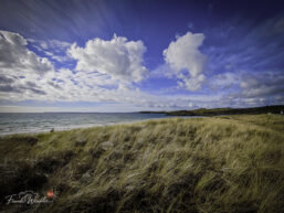 IMG_20260910_180819