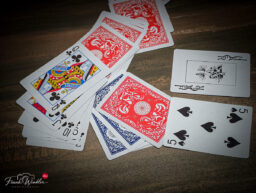 IMG_20261017_131907